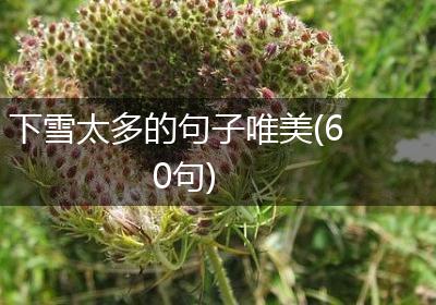 下雪太多的句子唯美(60句)
