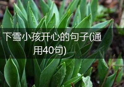 下雪小孩开心的句子(通用40句)