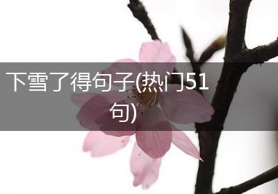 下雪了得句子(热门51句)