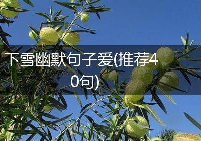 下雪幽默句子爱(推荐40句)