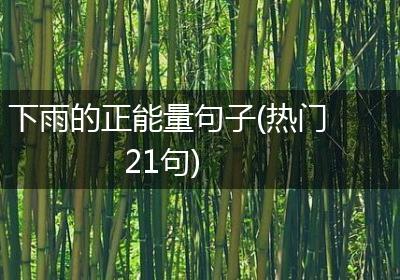 下雨的正能量句子(热门21句)