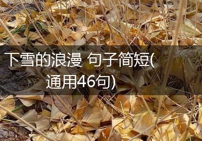 下雪的浪漫 句子简短(通用46句)