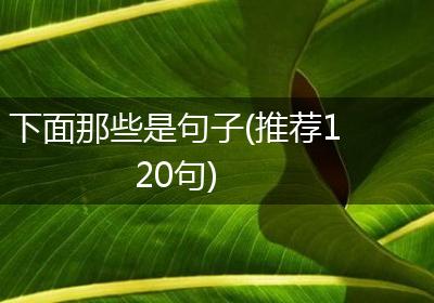下面那些是句子(推荐120句)