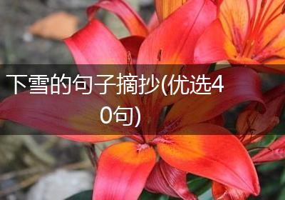 下雪的句子摘抄(优选40句)