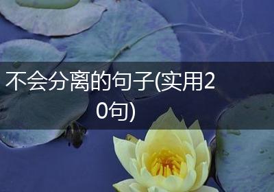不会分离的句子(实用20句)