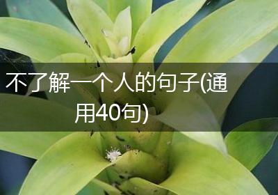 不了解一个人的句子(通用40句)