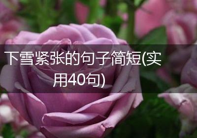 下雪紧张的句子简短(实用40句)