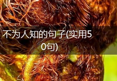 不为人知的句子(实用50句)