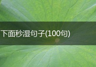 下面秒湿句子(100句)
