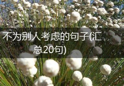 不为别人考虑的句子(汇总20句)