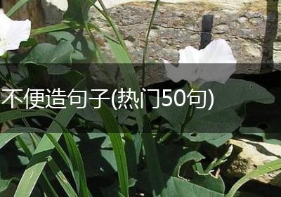 不便造句子(热门50句)