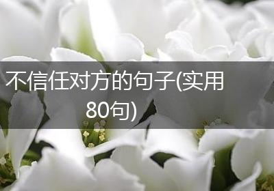不信任对方的句子(实用80句)