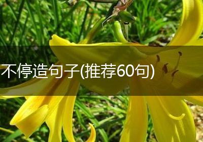 不停造句子(推荐60句)