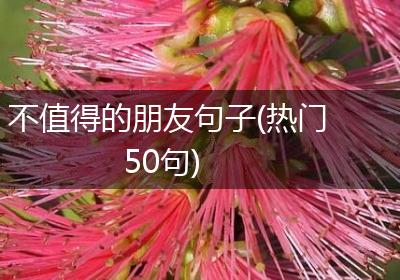 不值得的朋友句子(热门50句)