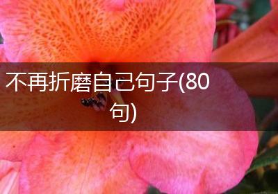 不再折磨自己句子(80句)