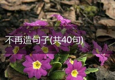 不再造句子(共40句)