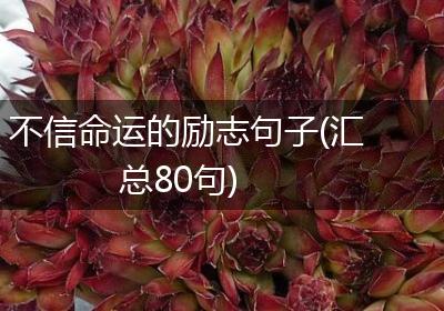 不信命运的励志句子(汇总80句)