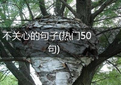 不关心的句子(热门50句)