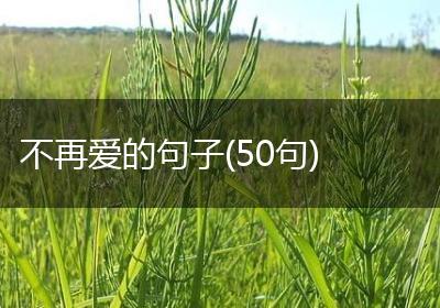 不再爱的句子(50句)