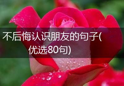 不后悔认识朋友的句子(优选80句)