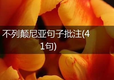 不列颠尼亚句子批注(41句)