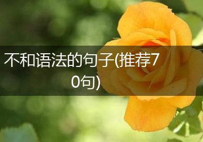 不和语法的句子(推荐70句)