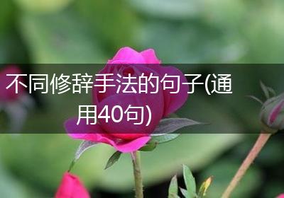 不同修辞手法的句子(通用40句)