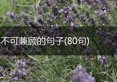 不可兼顾的句子(80句)