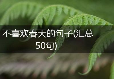 不喜欢春天的句子(汇总50句)