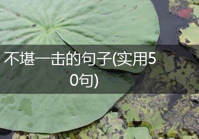 不堪一击的句子(实用50句)