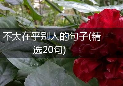 不太在乎别人的句子(精选20句)