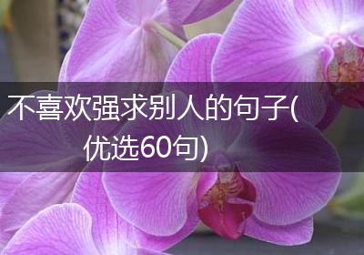 不喜欢强求别人的句子(优选60句)