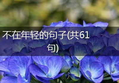不在年轻的句子(共61句)