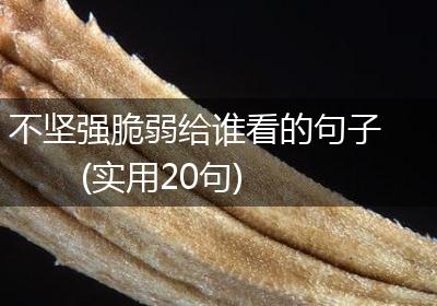 不坚强脆弱给谁看的句子(实用20句)