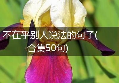 不在乎别人说法的句子(合集50句)