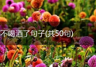 不喝酒了句子(共50句)