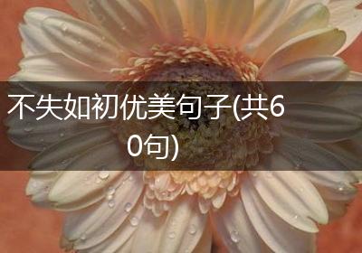 不失如初优美句子(共60句)