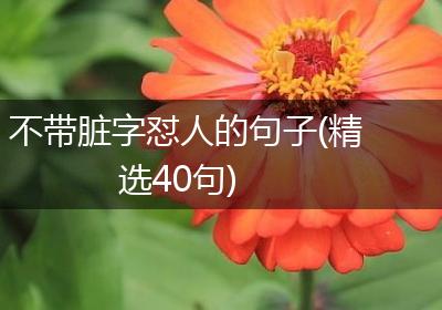 不带脏字怼人的句子(精选40句)