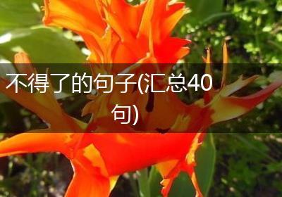 不得了的句子(汇总40句)