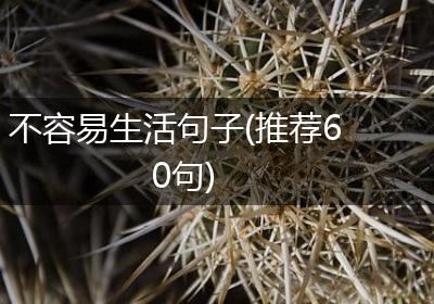 不容易生活句子(推荐60句)