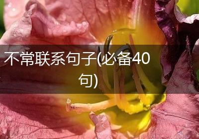 不常联系句子(必备40句)