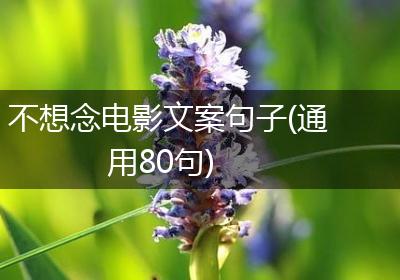 不想念电影文案句子(通用80句)