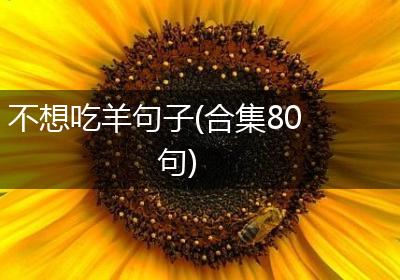 不想吃羊句子(合集80句)