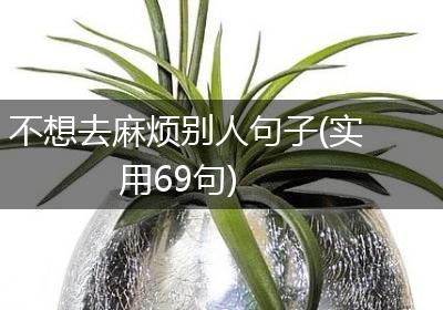 不想去麻烦别人句子(实用69句)