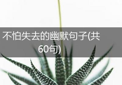 不怕失去的幽默句子(共60句)
