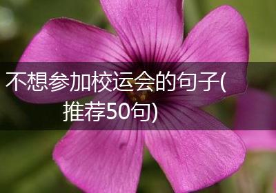 不想参加校运会的句子(推荐50句)