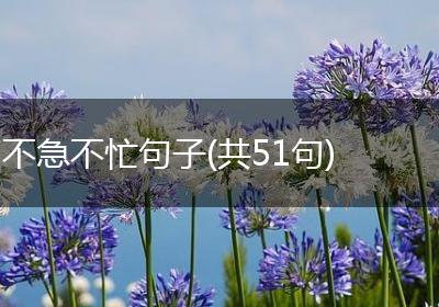 不急不忙句子(共51句)