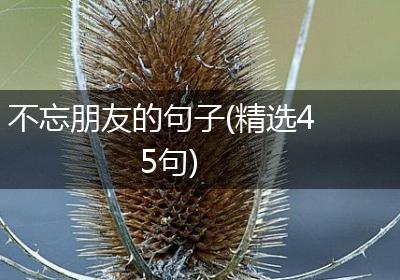 不忘朋友的句子(精选45句)