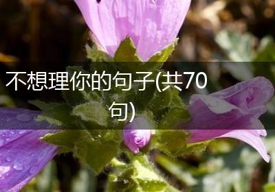 不想理你的句子(共70句)