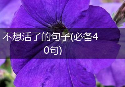 不想活了的句子(必备40句)